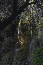 Domaine de la Baume - Tourtour (FRA,83) - 15 05 2014