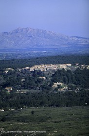 Cornillon-Confoux - en fond, les Alpilles