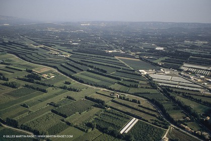 France , Provence, Paysage des Alpilles, Landscapes