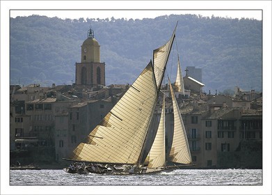 Cintra devant Saint TRopez