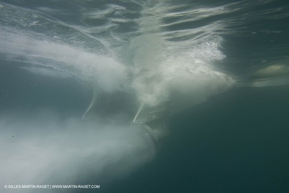 Bateaux à moteur, entretien technique