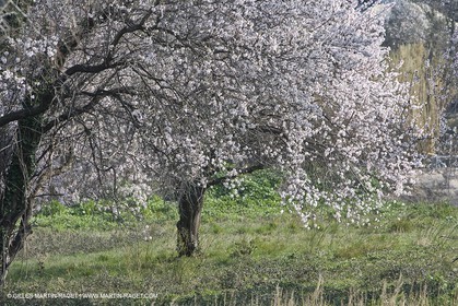 16 02 2008 - Les Baux de Provence (FRA, 13) - Alpilles hills landscapes