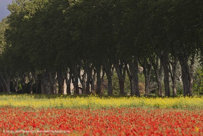 29 04 2012 ( Saint Rémy de Provence (FRA, 13) - Chaîne des Alpilles vers Romanin