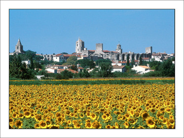 Produit : Tirage photo réalisé par nos soins sur imprimante jet d'encre professionnelle Epson à partir de 8 encres ultrachrome inaltérables (label Digigraphie).Formats au choix : . 30x40 cm. 50x70 cm. 80x120 cm.Choix des papiers :. Papier standard brillant 250 gr., filet noir, marge blanche, tirage non signé. Papier haut de gamme satiné 290 gr. filet noir, marge blanche, tirage vérifié et signé par l'auteur.. Autres supports (canvas, acrylique, dibond) sur demandeConditionnement : tube cylindrique renforcé.Options pour l'expédition : . colissimo + dépôt boîte aux lettres (France uniquement). Colissimo avec signature à réception. Transporteur express (2 jours ouvrés) avec signature à réceptionCliquez sur caddie pour sélectionner votre formule et démarrer la procédure de commande en ligne