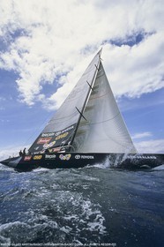 Courses à la voile, Coupe de l'America 2000, America's Cup 2000, Auckland (NZL)