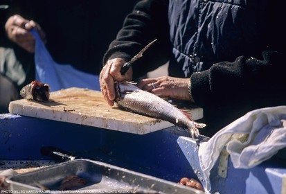 Marseille (FRA,13), Fishing