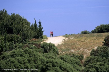Garrigue de Nîmes