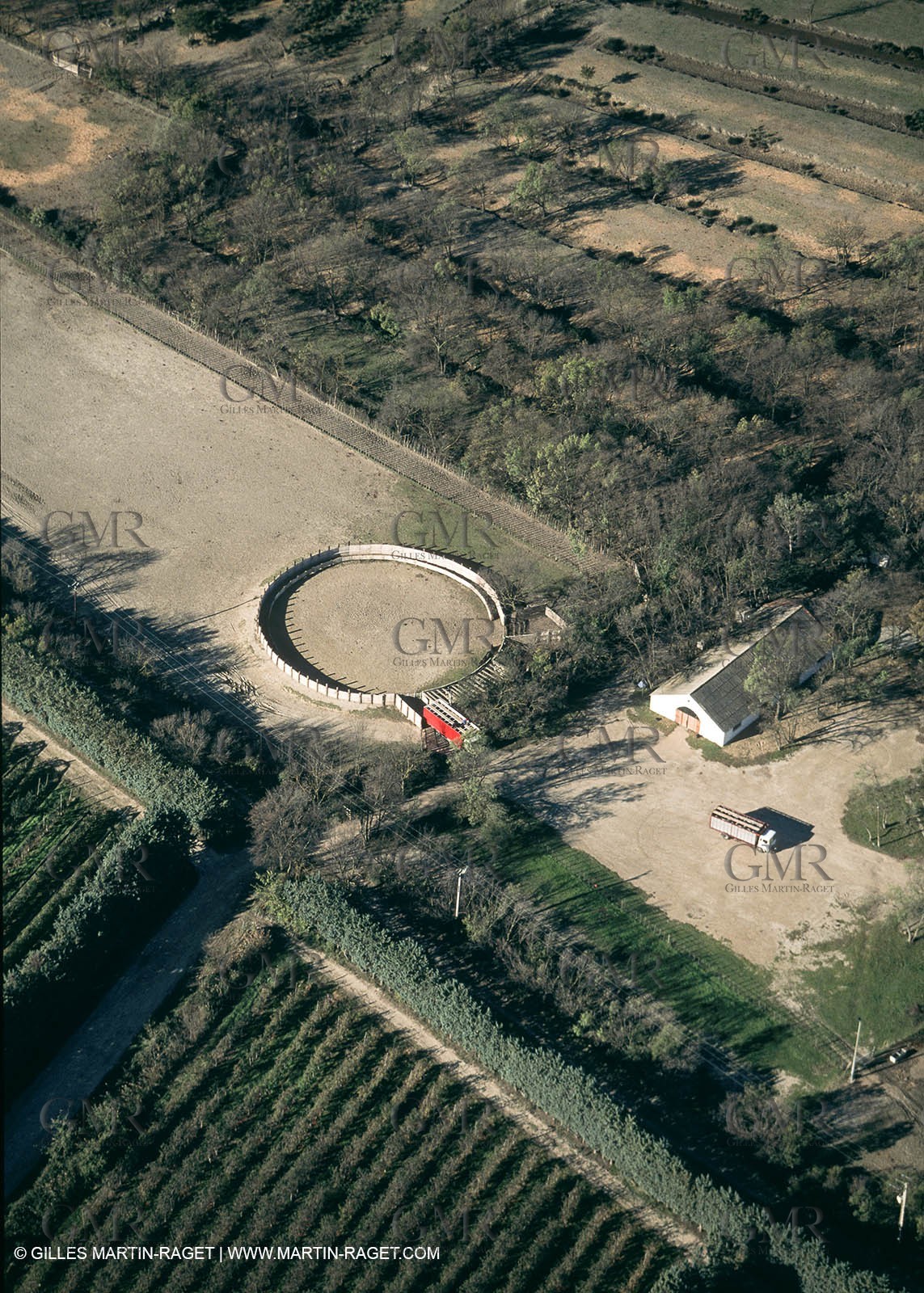 Camargue (FRA,13) - Little Camargue