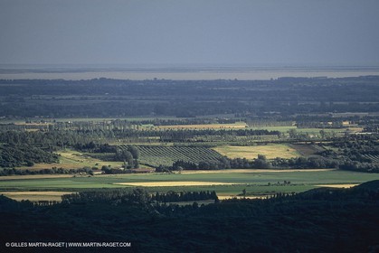 France, south, Alpilles landscapes