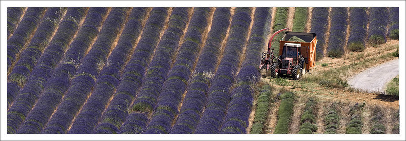 Produit : Tirage photo réalisé par nos soins sur imprimante jet d'encre professionnelle Epson à partir de 8 encres ultrachrome inaltérables (label Digigraphie).Formats au choix :. 20 x 60 cm. 33 x 95 cm- 52 x 150 cmChoix des papiers :. Papier standard brillant 250 gr., filet noir, marge blanche, tirage non signé. Papier haut de gamme satiné 290 gr. filet noir, marge blanche, tirage vérifié et signé par l'auteur.. Autres supports (canvas, acrylique, dibond) sur demandeConditionnement : tube cylindrique renforcé.Options pour l'expédition : . colissimo + dépôt boîte aux lettres (France uniquement). Colissimo avec signature à réception. Transporteur express (2 jours ouvrés) avec signature à réceptionCliquez sur caddie pour sélectionner votre formule et démarrer la procédure de commande en ligne