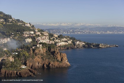 06 02 2008 - Théoule sur mer (FRA, 06) - Mimoses in full flower