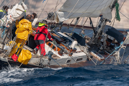 JURCUP21D3_0184