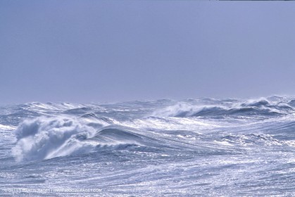 tempest