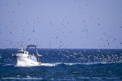 Monde maritime, Pêche, pêcheurs, bateaux de pêche, Marine world, fishing, fishermen, fishing boats