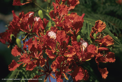 Destinations, New Caledonia