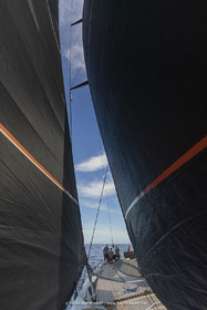 03 10 2022, Saint-Tropez (FRA,83), Voiles de Saint-Tropez 2022,  entraînement des maxis, A bord de Sipirit of Malouen X