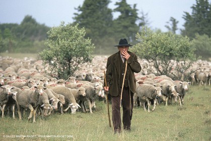 Saint Rémy de Provence (FRA,13) - Sheep stocks migration Fest