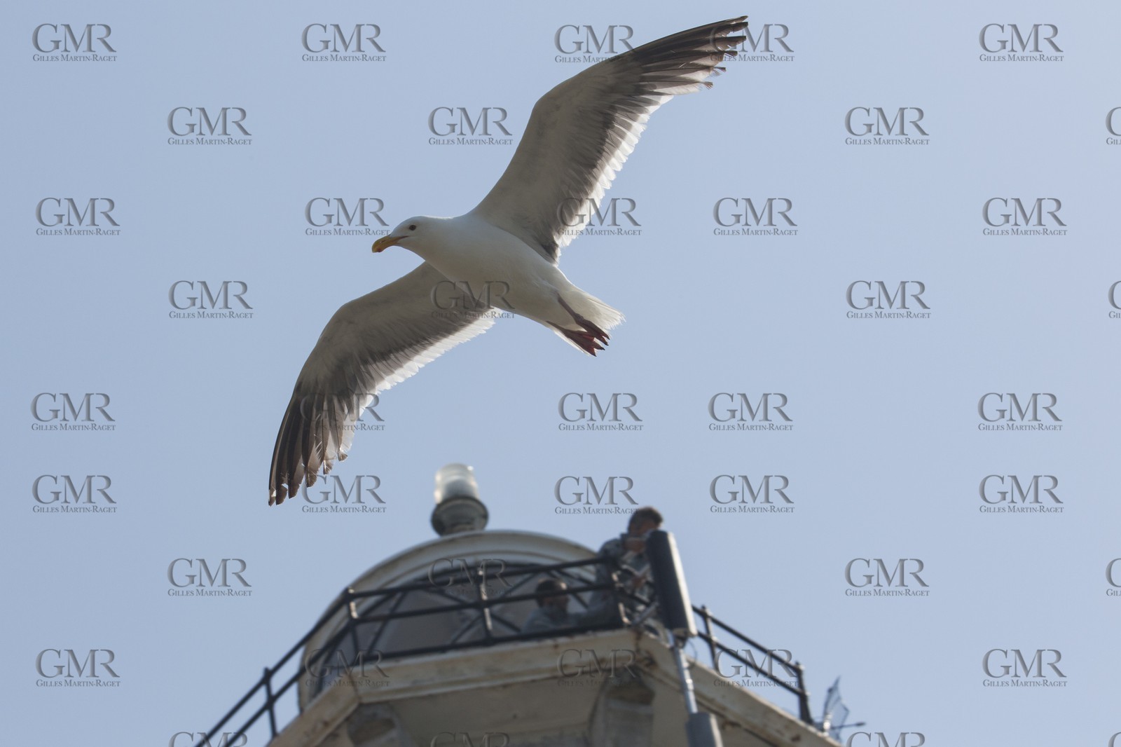 02 07 2013 - San Francisco (USA,CA) - 34th America's Cup - Setting up the LiveLine Media on Alcatraz