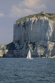ScanJan150790.JPG
