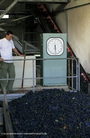 Harvest in Cairanne