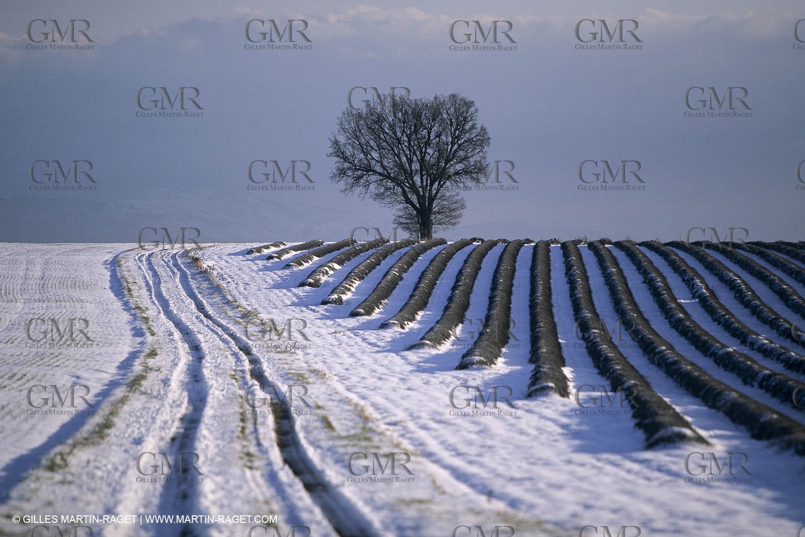 Provence under snow - Higher Provence - Valensole plateau