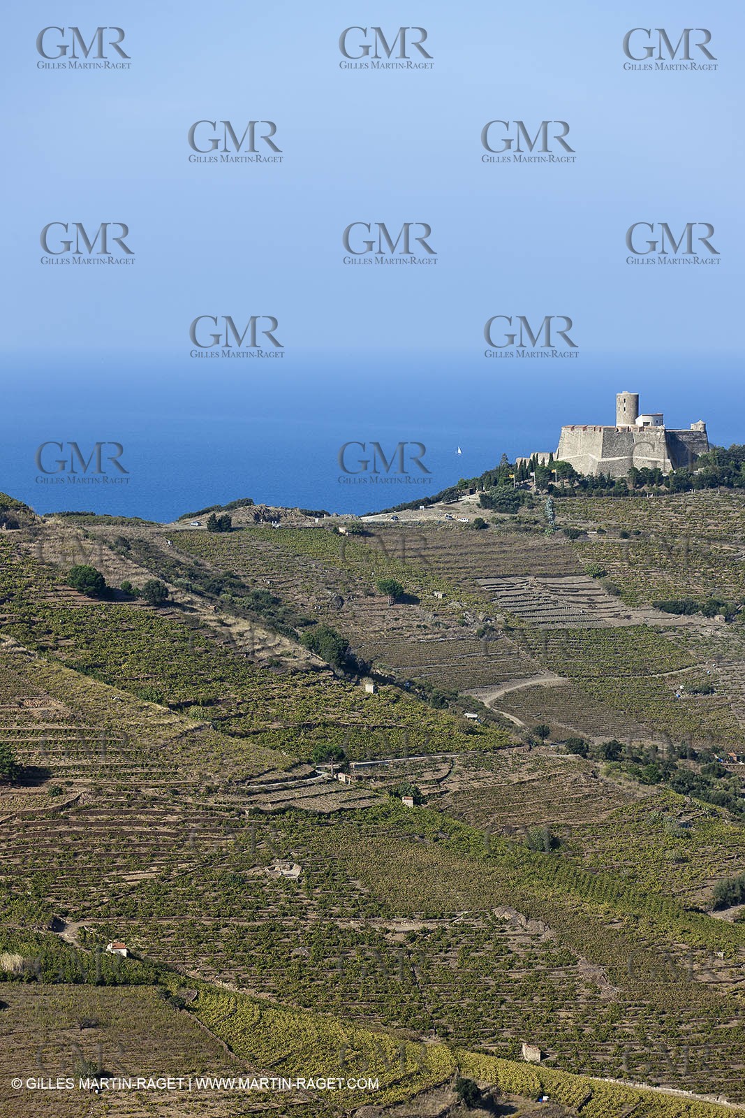 17 10 2011 - Vermeille Coast (FRA, 66) - Corbières Vineyards