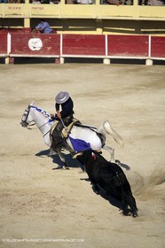 Gard, (FRA,30) - Camargue bull game