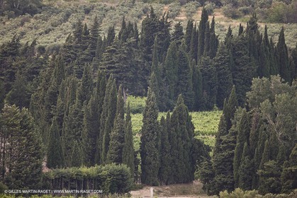 June 24th 2008 - Saint Rémy de Provence (FRA,13) - Alpilles hills landscapes