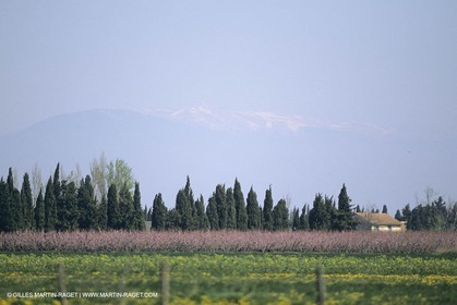 France, Provence, Mont Ventoux