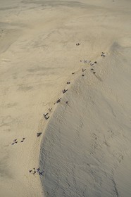 France, Atlantic coast, Dune du Pilat
