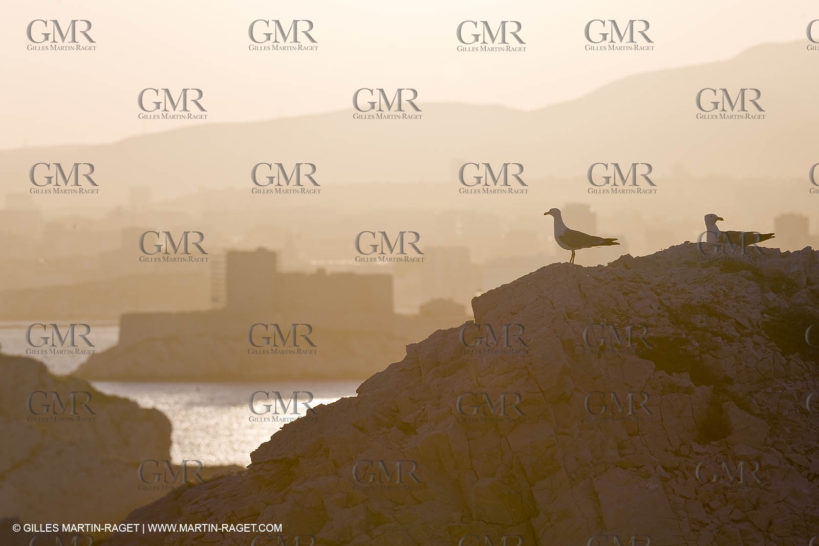 20 06 2008 - Marseille (FRA, 13) - Cruising among the local islands and creeks