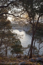 03 05 2009 - Marseille (FRA, 13) - Les Calanques - Port Pin