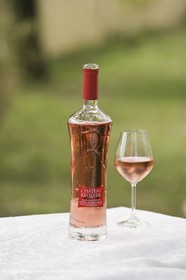 28 02 2008 - Cabasse (FRA, 83) - Domaine du Lac vines
