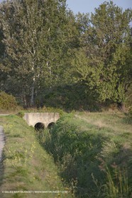 25 09 2009 - Sernhac (FRA,30)