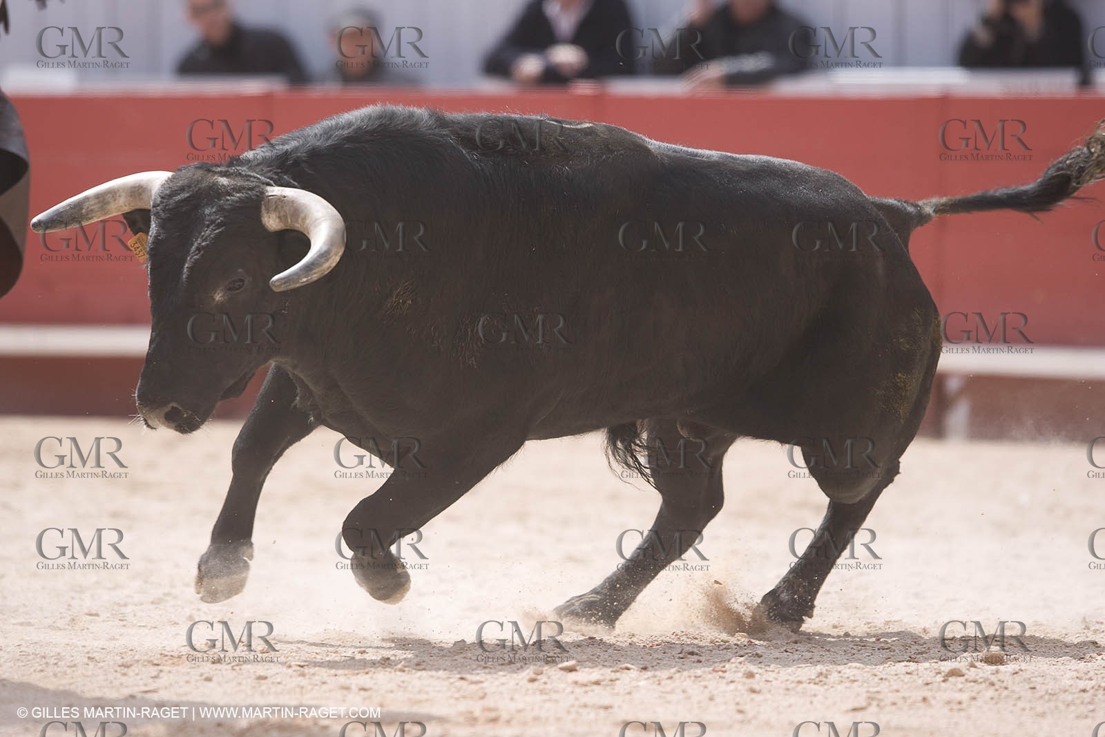 25 03 2008 - Arles (FRA, 13) - Feria 2008 - Bullfight with horses