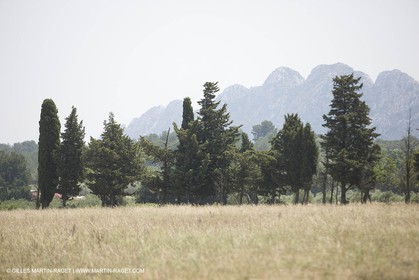 24 Juin 2008 - Saint Rémy de Provence (FRA-13) - Paysage des Alpilles