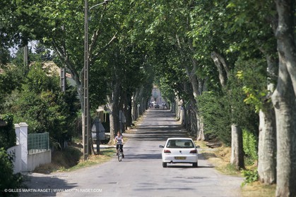 Paysages de Nîmes Métropole (FRA,30)