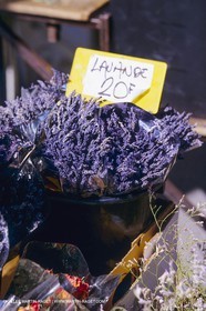 France, Provence, Higher Provence, Valensole Plateau, Lavender