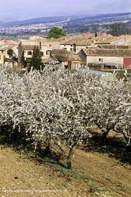 Luberon en hiver vers Saint Saturnin les Apts (FRA,84)