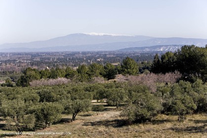 15 02 2007 - Provence - Les Alpilles