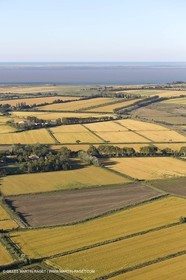 16 09 2012 - From AIx les Milles to la Grande Motte - Agriculture in north Camargue
