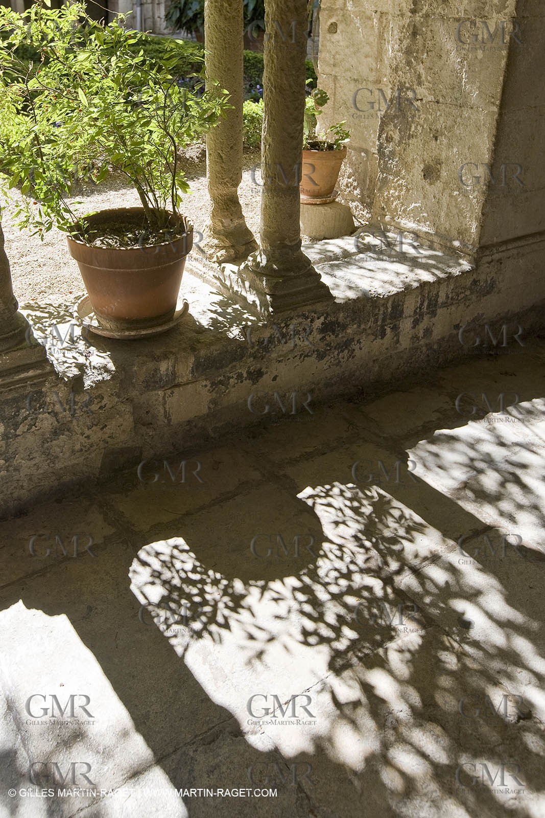 25 02 2005 - Saint Rémy de Provence - (FRA, 13) - Vincent Van Gogh south - Saint Paul de Mausole