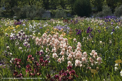 04 05 2008 - Saint Rémy de Provence (FRA, 13) - Paysages des Alpilles