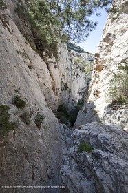18 04 2009 - Marseille (FRA, 13) - Les Calanques - Vallon St Michel - Le pas des Géants