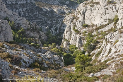 10 09 2009 - Marseille (FRA, 13) - Les Calanques - Massif de Marseilleveyre - Vallon de Mougranier - Vallon Saint Michel