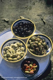 France, Provence, Alpilles, AOC Vallée des Baux, olive trees fields, olive oil production