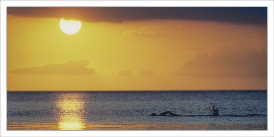 Water SPorts, plage, bains de mer, natation, swimming, beachProduct: in house made quality print on 8 ultrachome colors Epson ink Jet printer.Available sizes: . 50 x 100 cm. 100 x 200 cmAvailable papers: . Standard 250 gr glossy paper print, black streak, white margin, no signature. Top quality glossy 290 gr. paper, black streak, white margin, checked and signed by the author. Fine Art print (signed, numbered, stamped, registered) on demand. Other supports (Canvas, Acrylic, Metal) on demandPackaging: cylindric reinforced tubeShipping options: regular mail or Shipping companyClick on the basket icon to select your options and start the online ordering process