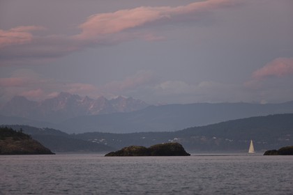 01 09 2008 - San Juan Islands (WA, USA) - Killer Whales