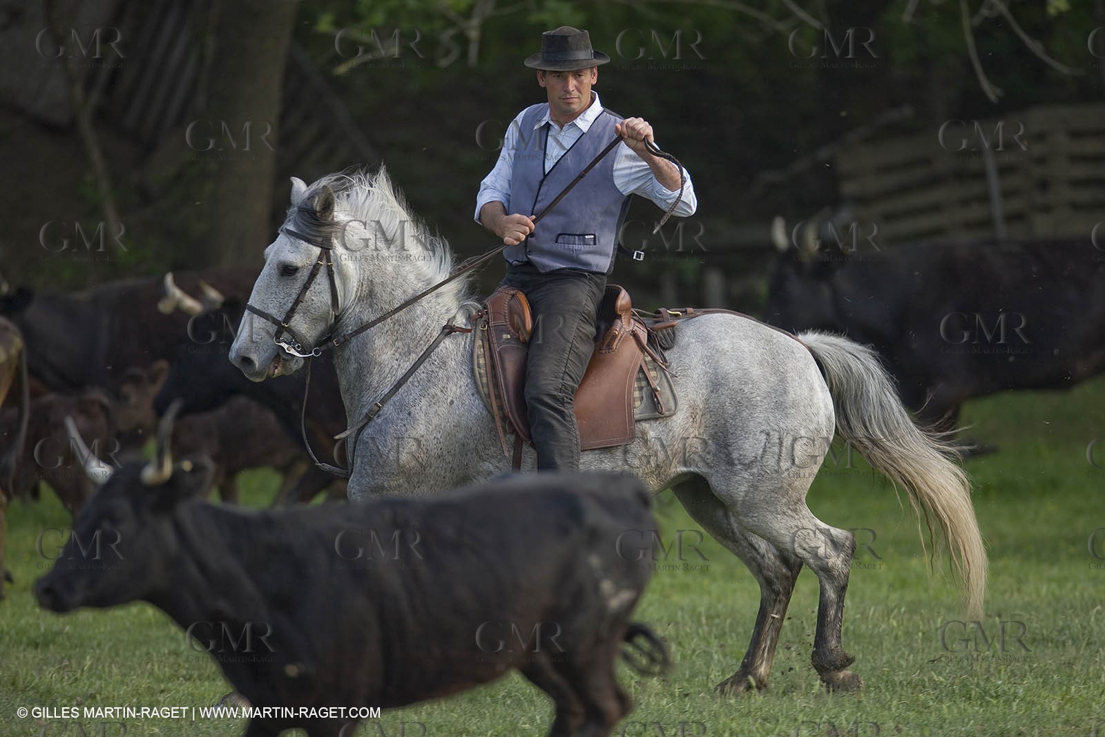 07 05 2008 - Le Cailar (FRA,30) - Stock work at Mas du Pont de Laute domain