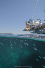 02 08 2022, Giens (FRA,83), Wauquiez Pilot Saloon 48e